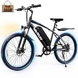 VARUN Electric Bike - Ebikes for Adults 350W 20MPH Commuter Ebike with 36V Removable Battery, 24''...