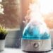 Best Humidor Humidifier To Buy Online